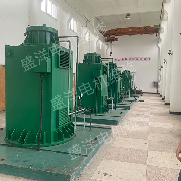 南京专业维修电机