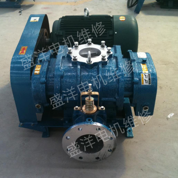 南京罗茨风机维修 